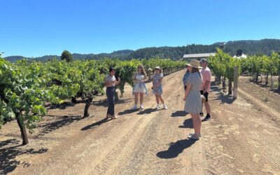 Exploring Biodynamic and Organic Vineyards in Napa Valley: A Journey Beyond Sustainable