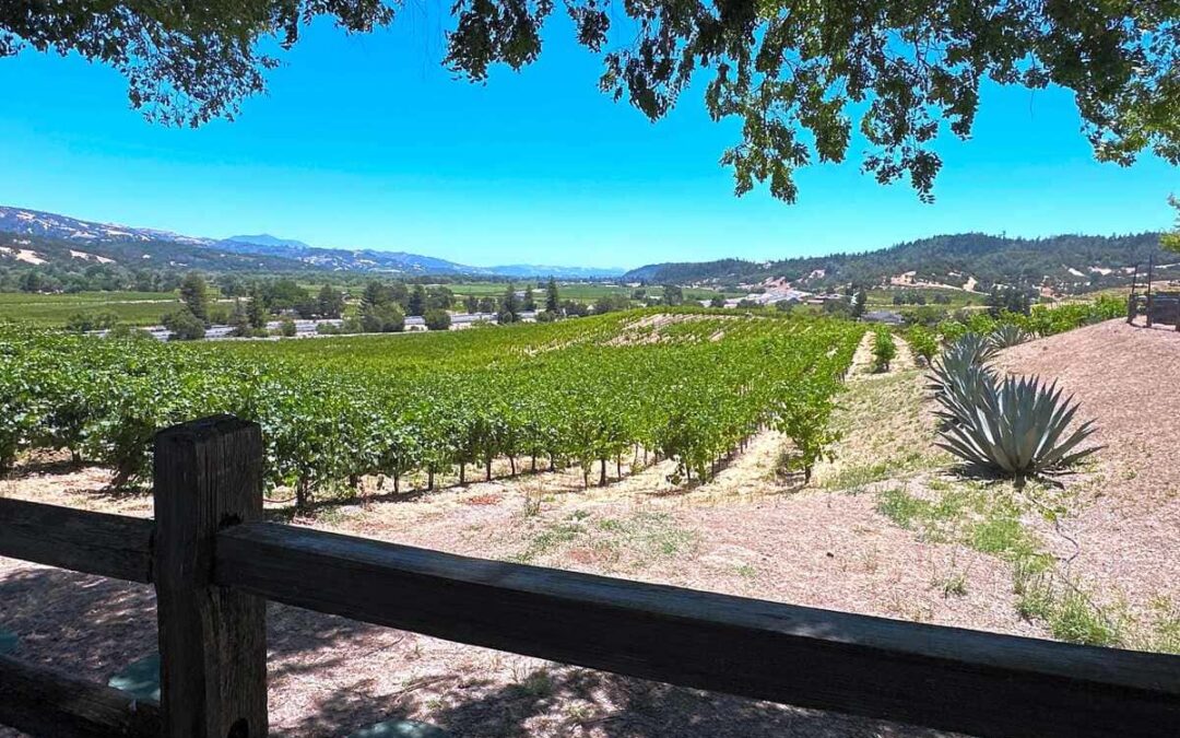 A Deep Dive into California’s Premier Wine Region: The Napa Valley AVA