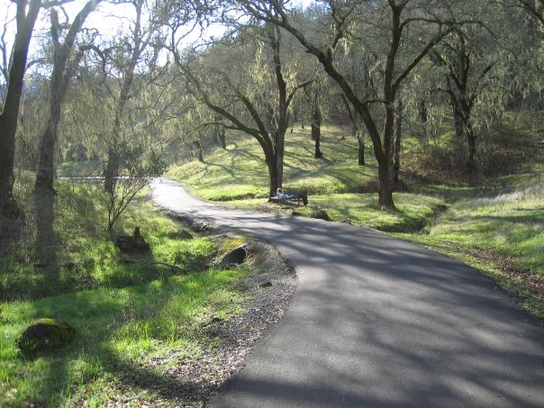 Sonoma Regional Park. Picnic Spot. Trees.