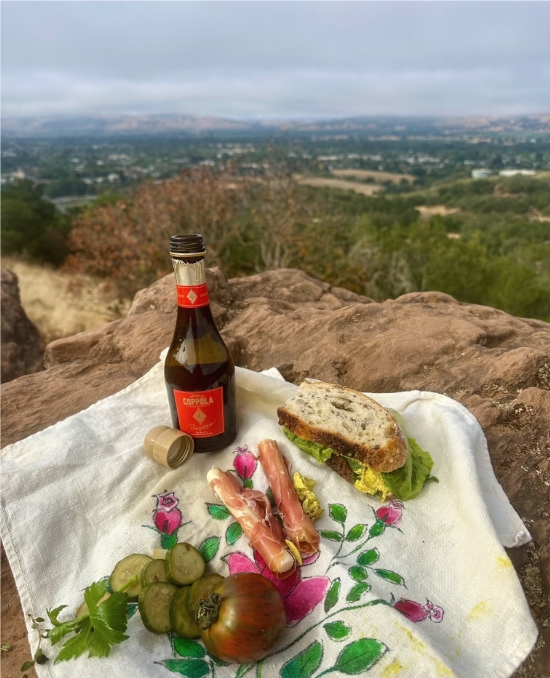 Sonoma Overlook Trail. Picnic Lunch. View. Sonoma Valley.